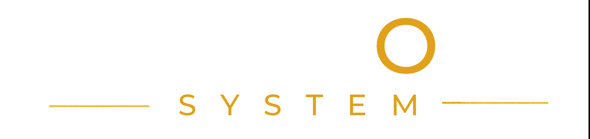 VISION SYSTEM